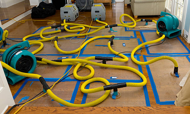 Professional Water Damage Restoration technician working in Redwood City, CA